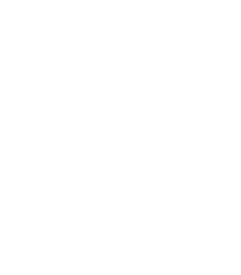Vector